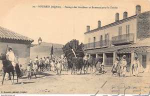 Passage des cavalier et bassour pour la zaouia boghari