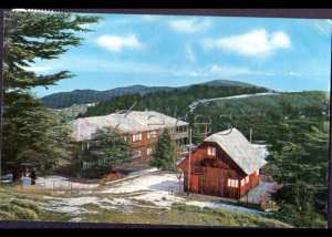 Blida -CHREA le restaurant