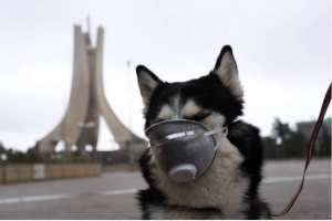 les masques les plus originaux a travers le monde