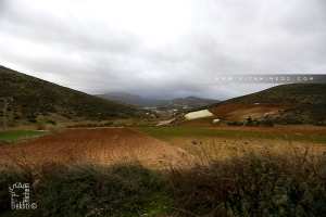 Champs agricoles entre Sidi Driss et Ain Merika (Beni Khellad)