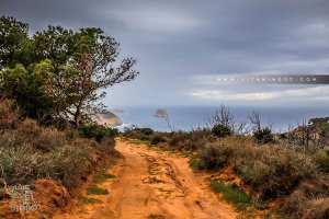 Fôret de Mkhelled (Beni Khellad) en face l'Ile Mokrane
