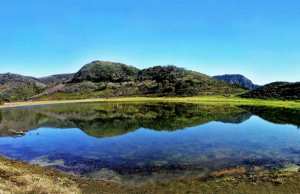 Tamesguida (Médéa) - Célébration de la Journée mondiale des zones humides