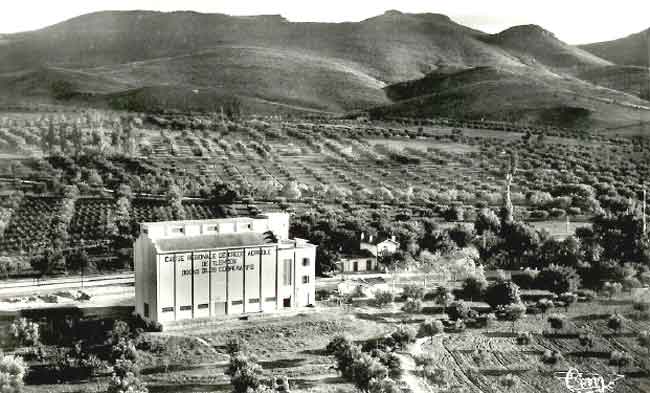 Constantine- Coopérative