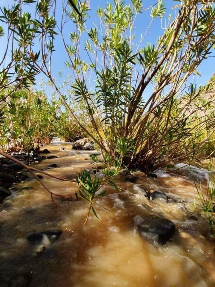 حظيرة الأهقار الوطنية 
