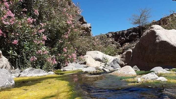 حظيرة الأهقار الوطنية 