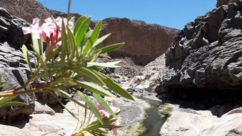 حظيرة الأهقار الوطنية 