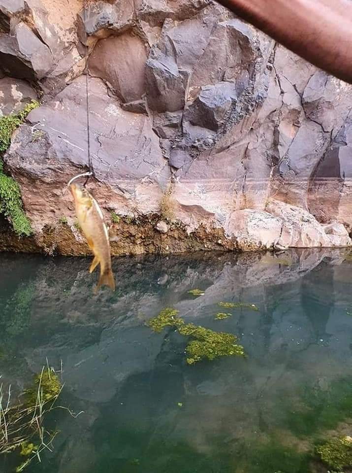 حظيرة الأهقار الوطنية 