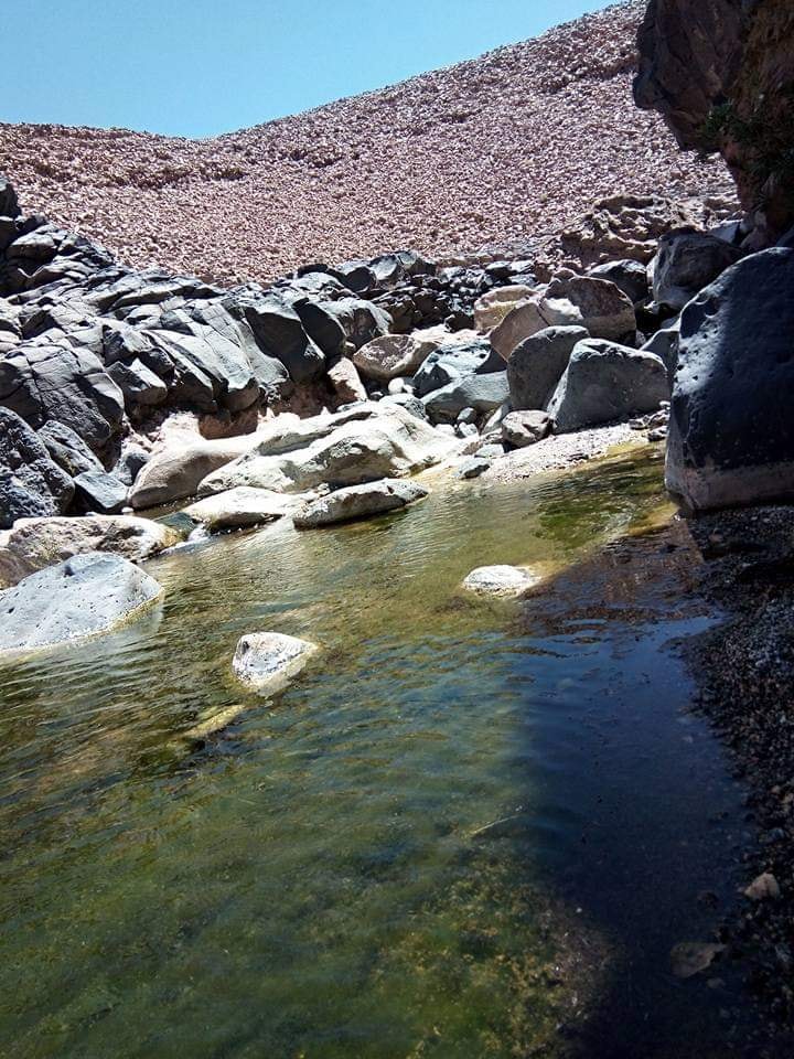 حظيرة الأهقار الوطنية 