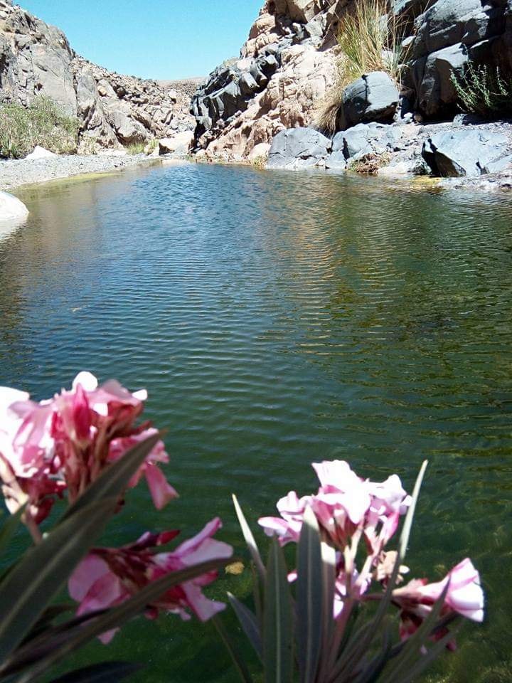 حظيرة الأهقار الوطنية 