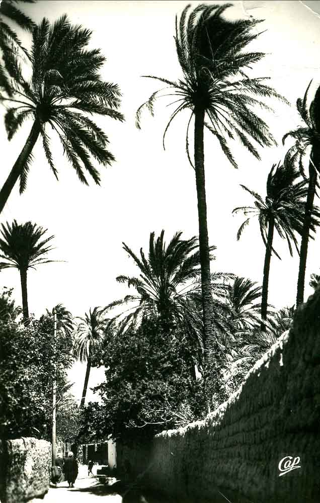 Laghaouat- La grande Seguia