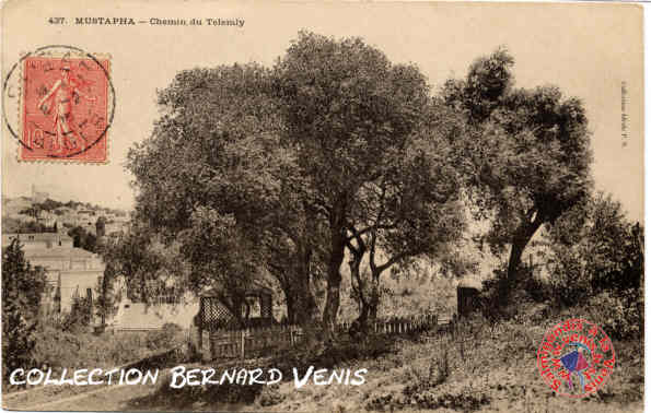 Alger- Chemin du Telemly