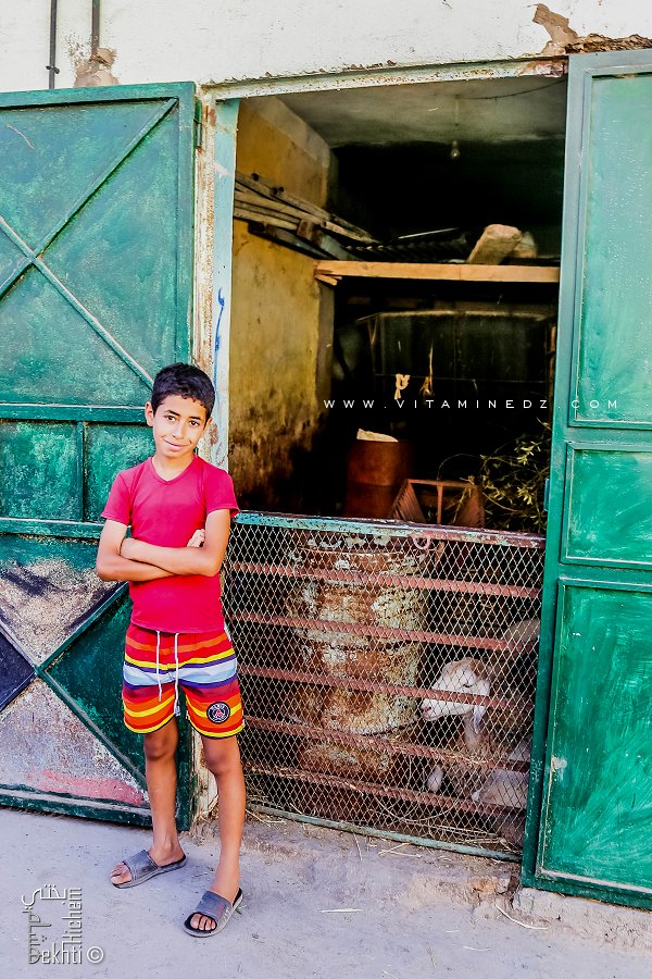 Enfant gardant une Zriba de moutons à Boudghene