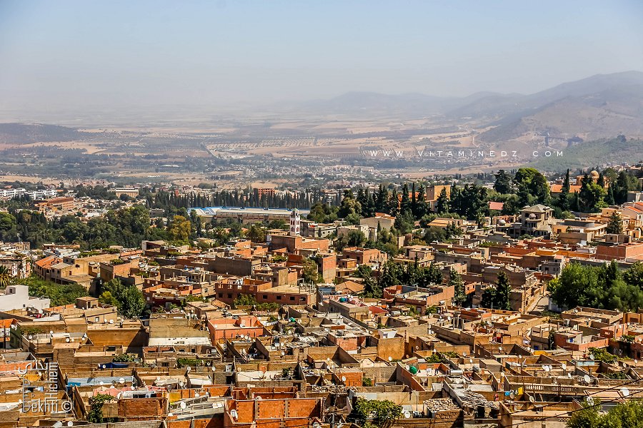 Quartier populaire de Tlemcen dans son versant Est