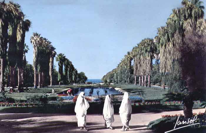 Alger- Femmes- HAYEK