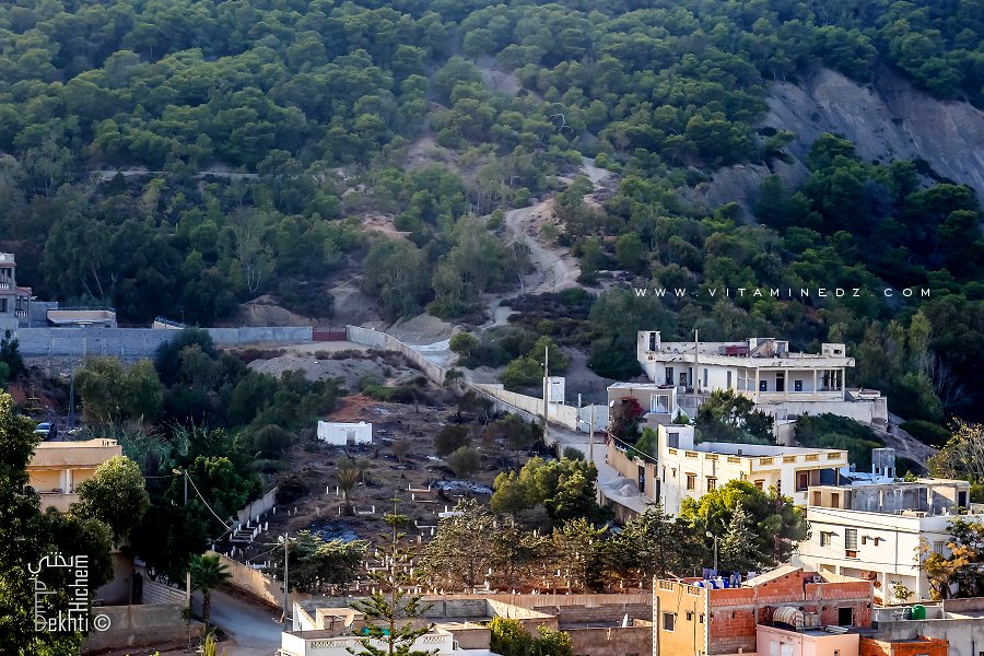 Cimetière de Sidna Youchaa