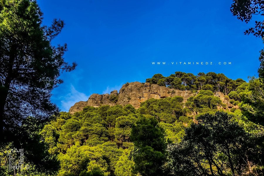 Poème sur Tlemcen par Dutailly Philippe