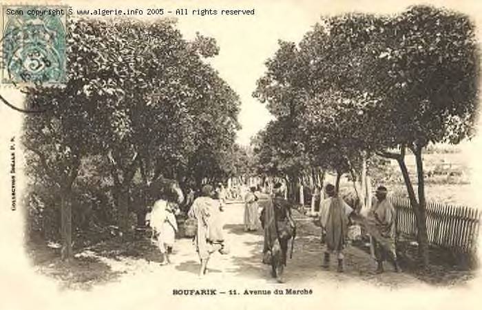 Boufarik-Avenue du marché