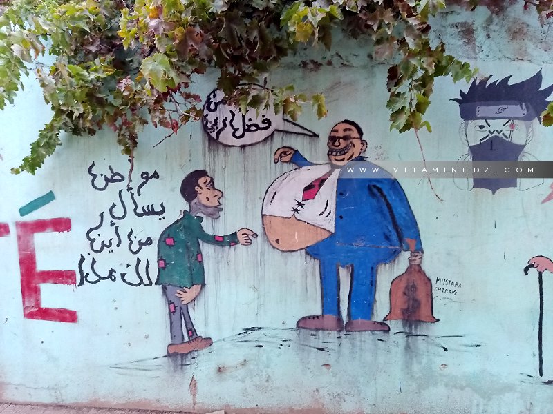 Caricatures et Hirak en Algérie