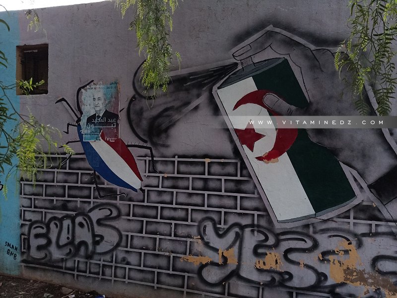 Caricatures du Hirak en Algérie : une liberté d'expression d'un moment !