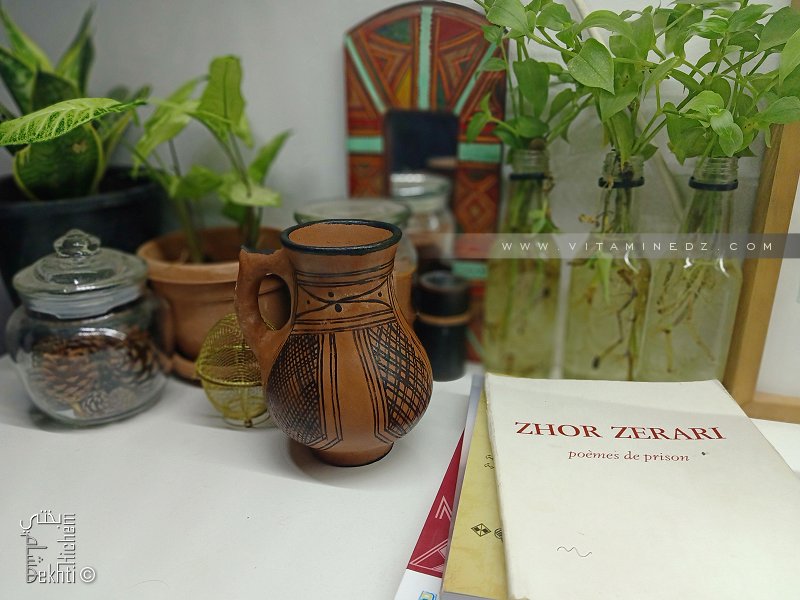 Zhor Zerari : poèmes de prison