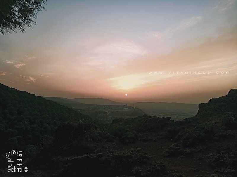 Magnifique coucher de soleil à la forêt de Tlemcen