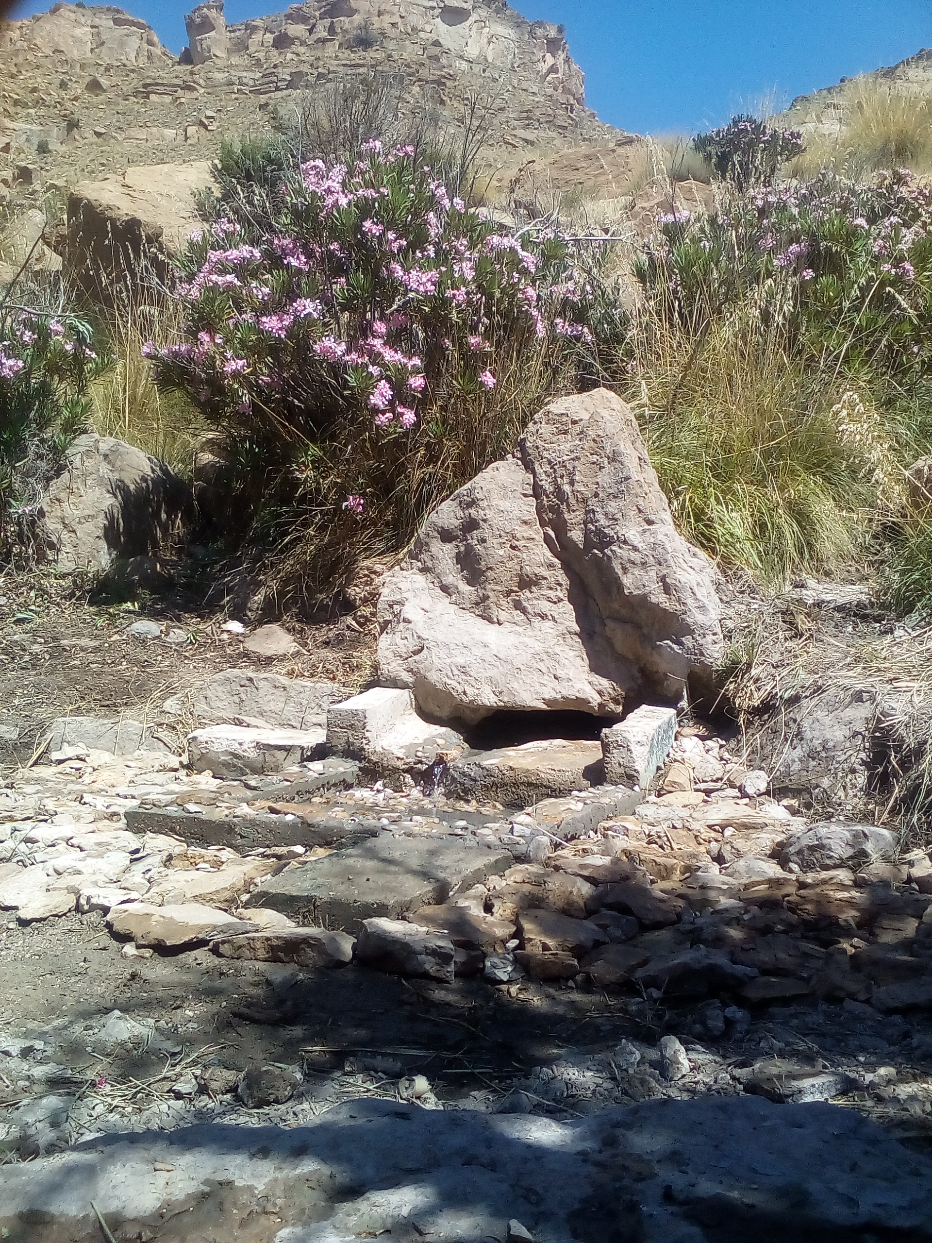 هيت انتازارث