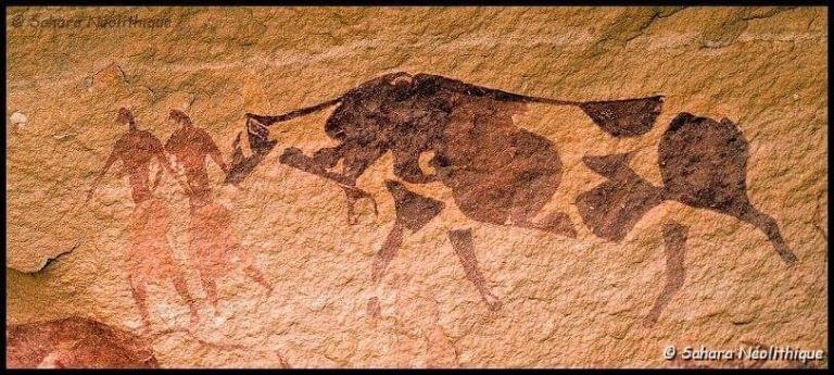 رسومات كهوف جابارن و تاماريت في إليزي 14