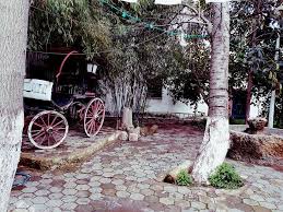 قيمة تاريخية يحويها متحف الأمير عبد القادر مدينة مليانة ولاية عين الدفلى 20