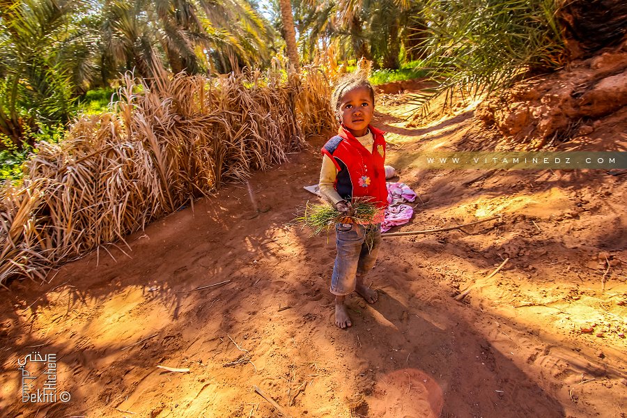 Un petit ange de l'oasis de Guentour