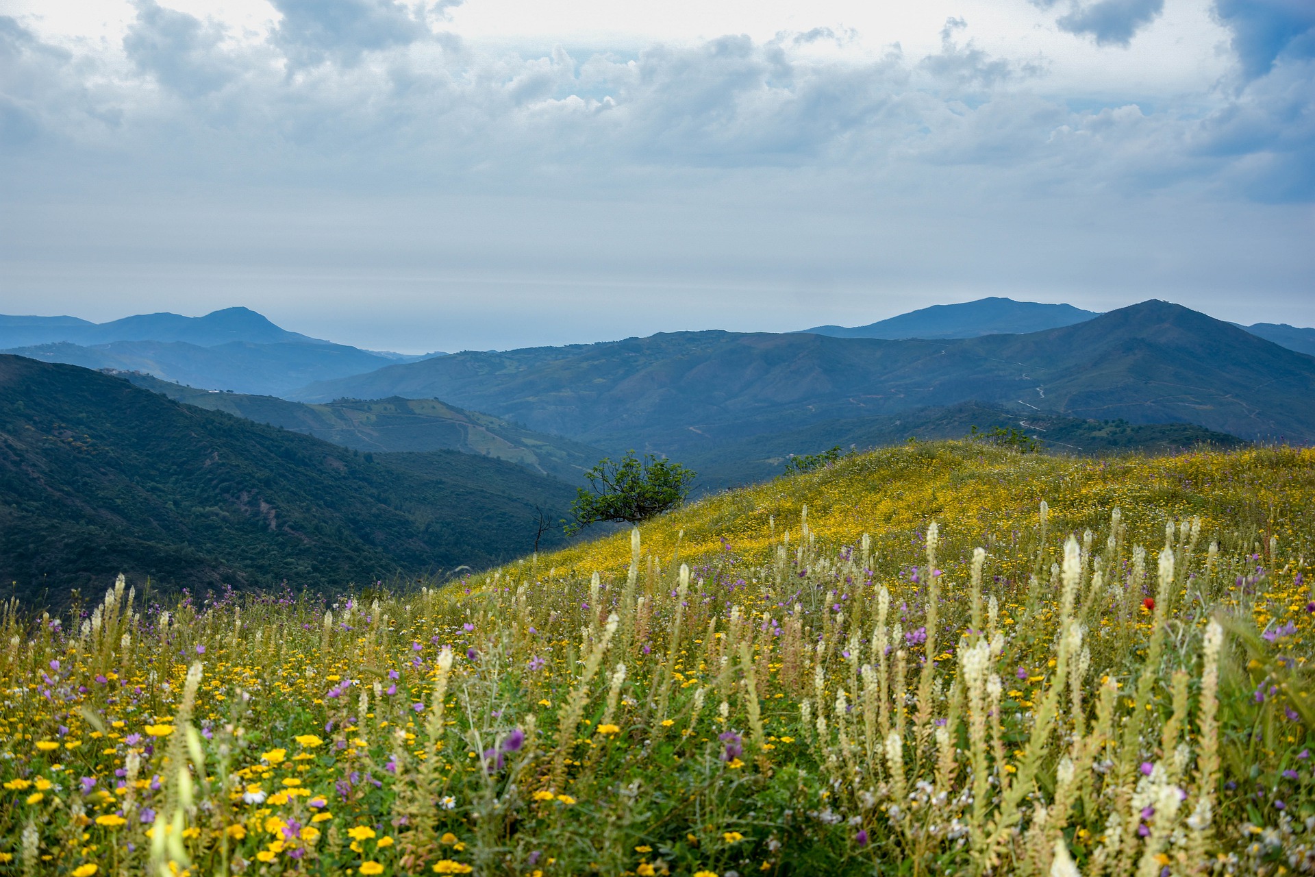 Kabylie- Djebla- Montagnes