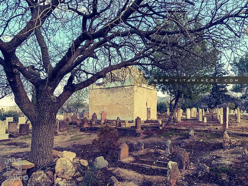 Cimetière Sidi Toumi à Ouled Mimoun (Tlemcen)