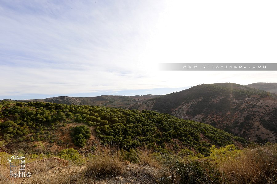 Djbel Amara supplombant El Ouardania