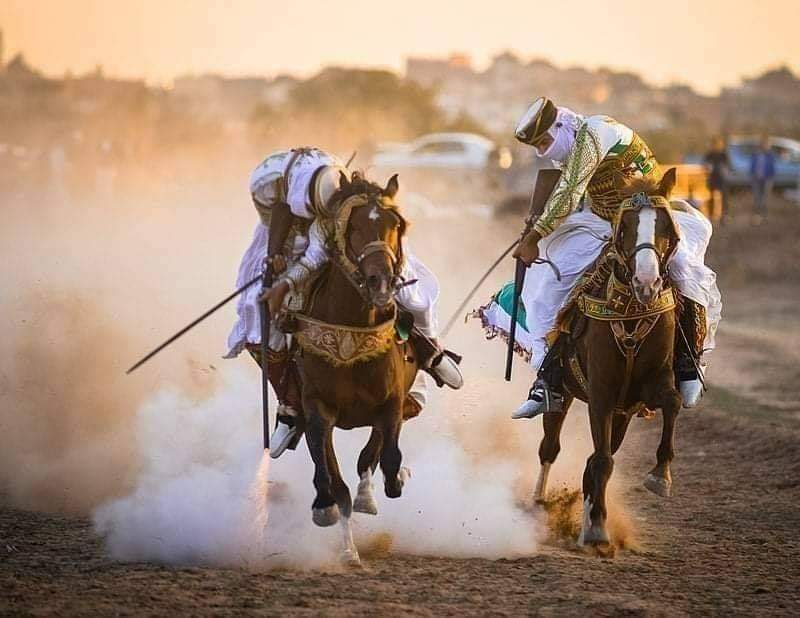 فرسان فانتازيا الجزائر