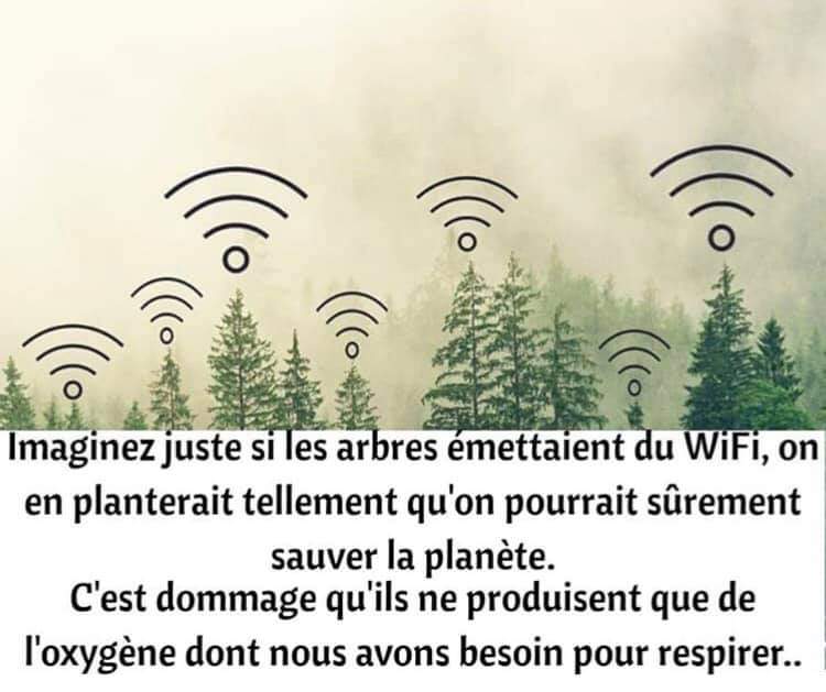L'arbre et la planète