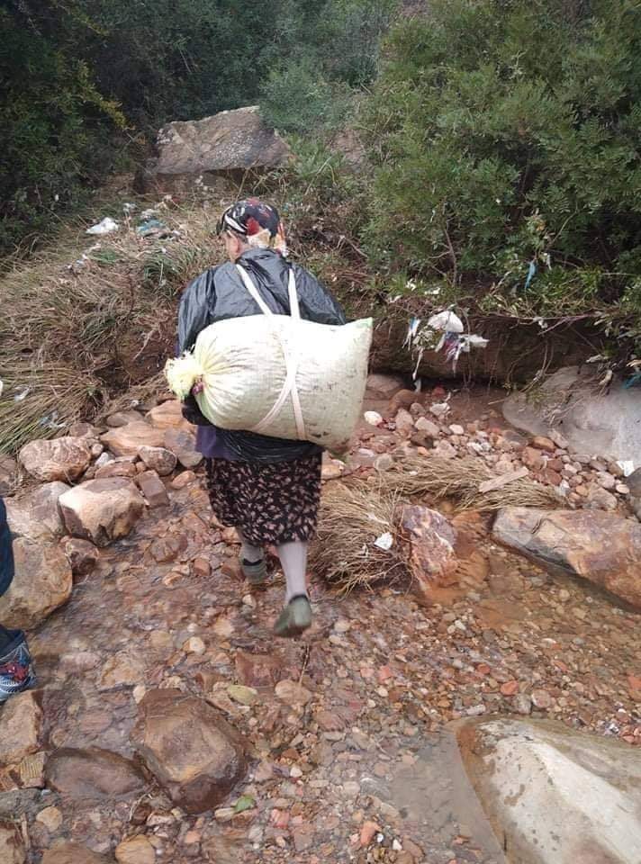 Une femme porte un sac d'olive sur son dos