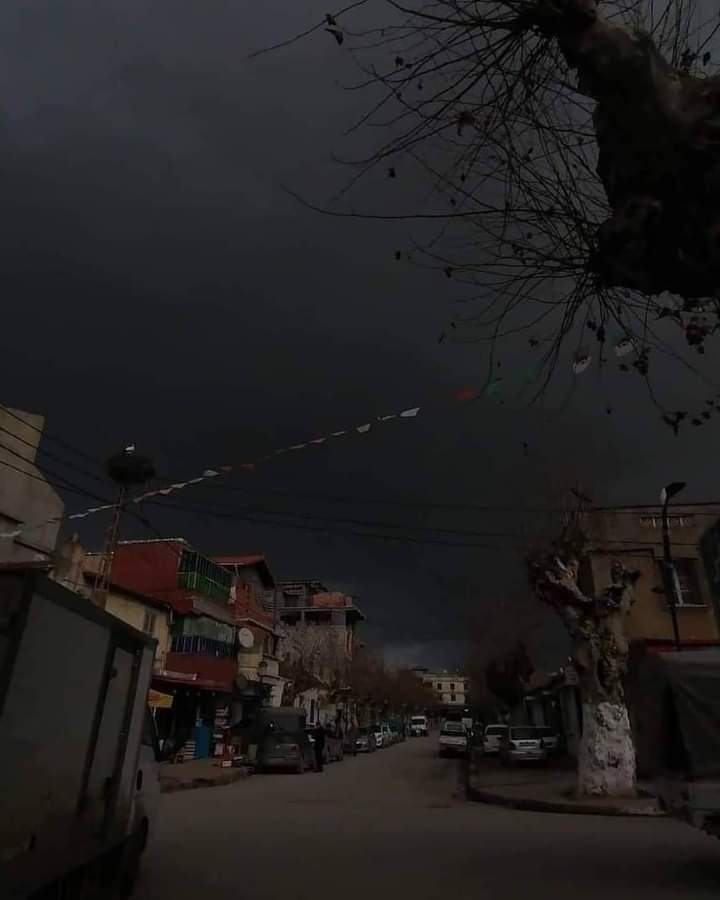 يوم مغيم في بليدة