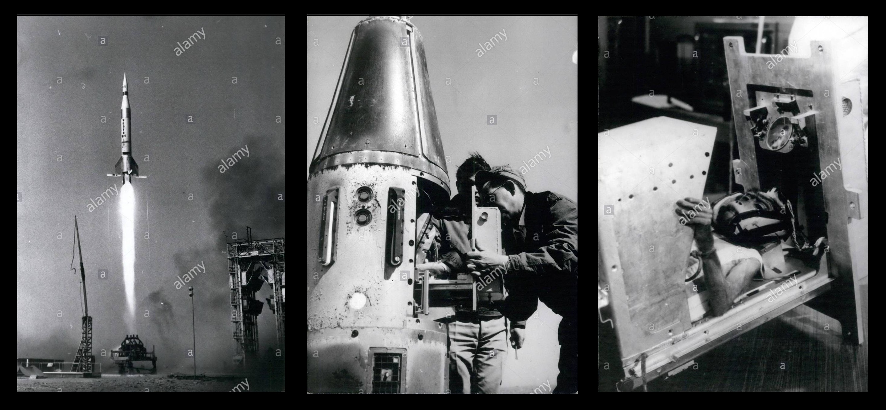 Martine le premier singe francais de l'espace ou 