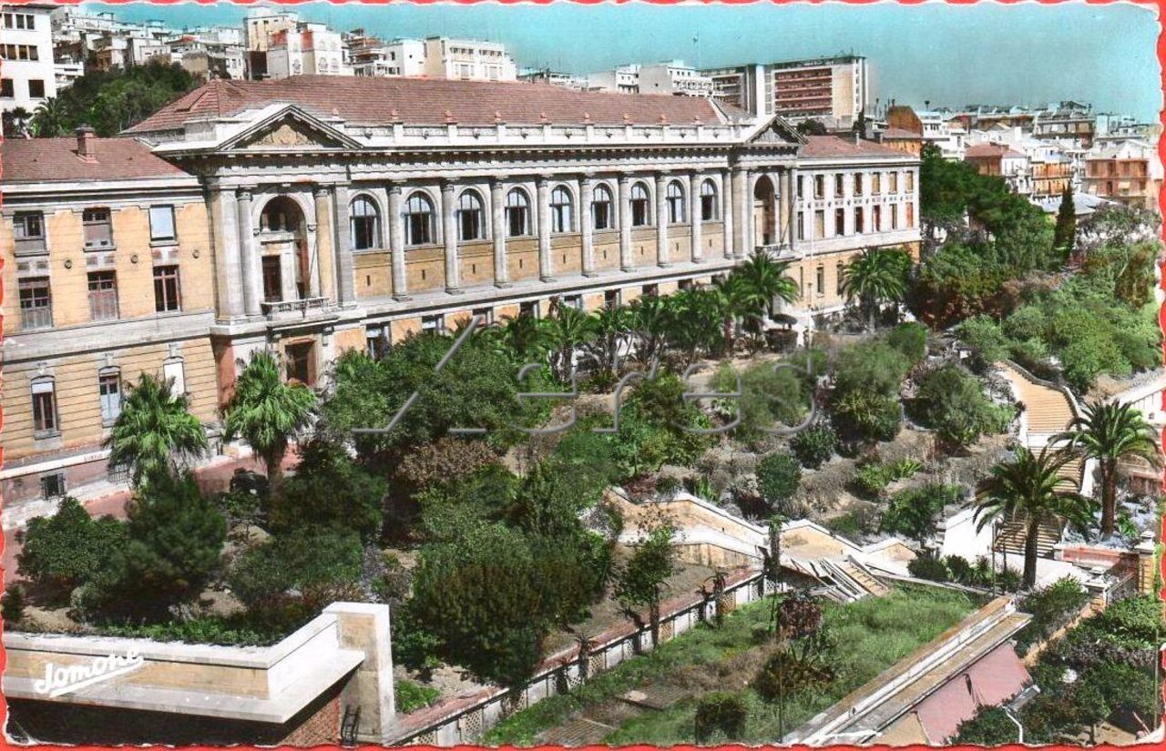 alger d'antan
