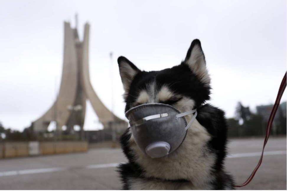 les masques les plus originaux a travers le monde