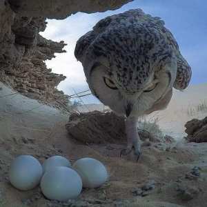 Ensemble, protégeons la nature