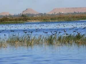 El-Menea:la zone humide du lac Sebkhat El-Maleh