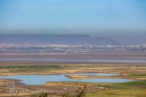 La faune et la flore de la Grande Sebkha d'Oran