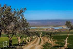 Fermes jouxtant la grande Sebkha d'Oran