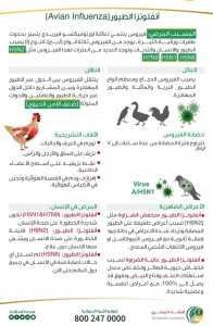 معلومات حول انفلونزا الطيور