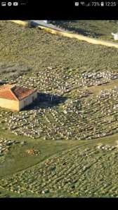 مقبرة لمصاير بلدية يابوس ولاية خنشلة