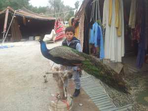 الأحفاد.. رياحين الحياة