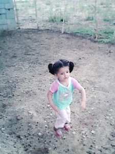 الأحفاد.. رياحين الحياة