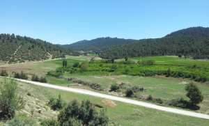 الطبيعة في فصل الربيع بيابوس.