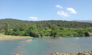 الطبيعة في فصل الربيع بيابوس.