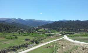 الطبيعة في فصل الربيع بيابوس.